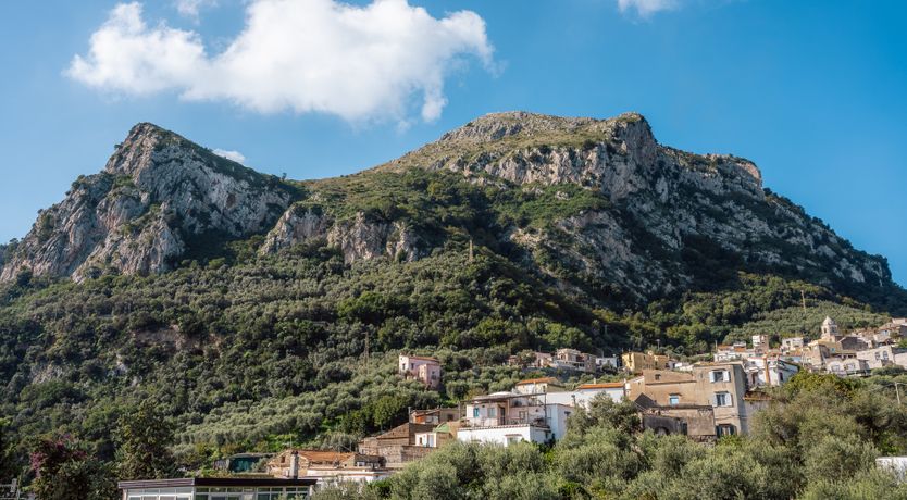 Photo of Nestled Vista