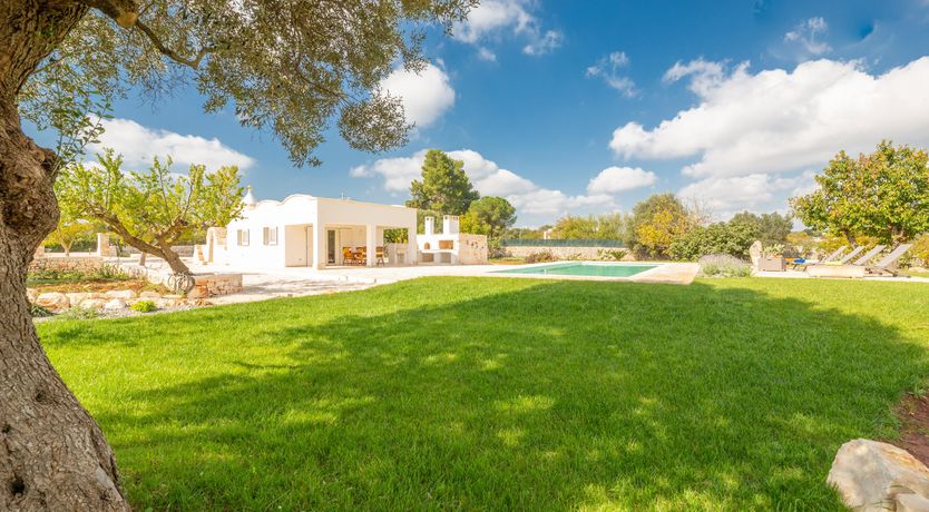 Photo of Shaded Olive