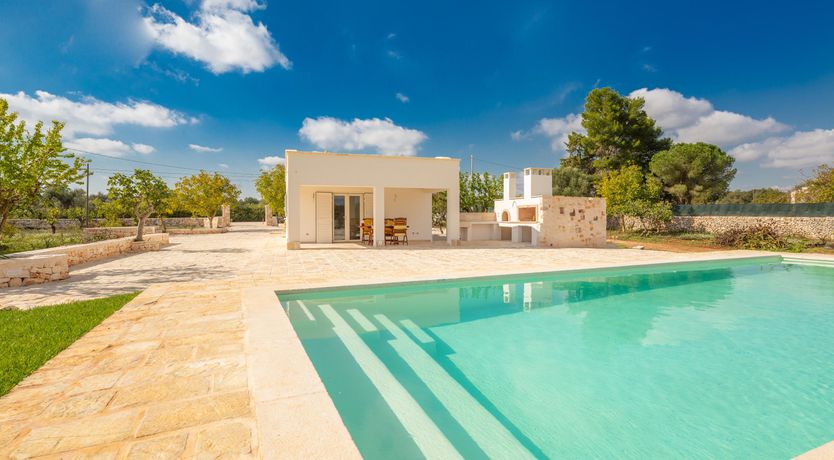 Photo of Shaded Olive