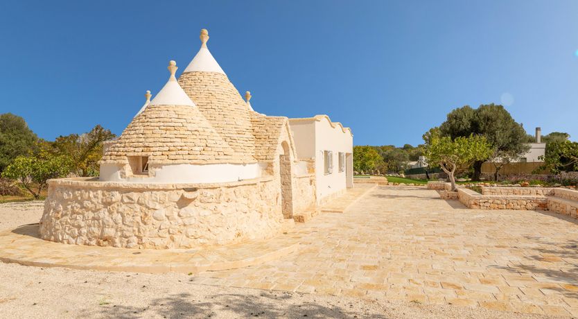 Photo of Shaded Olive