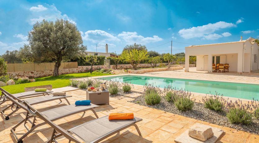 Photo of Shaded Olive