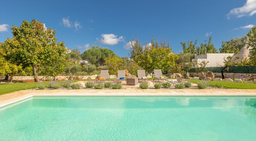 Photo of Shaded Olive