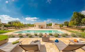 Photo of Shaded Olive