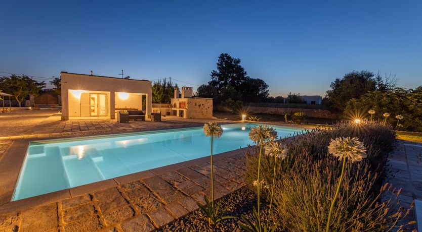 Photo of Shaded Olive