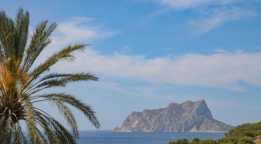 Photo of Palms & Canvas