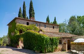 Photo of amber-realm