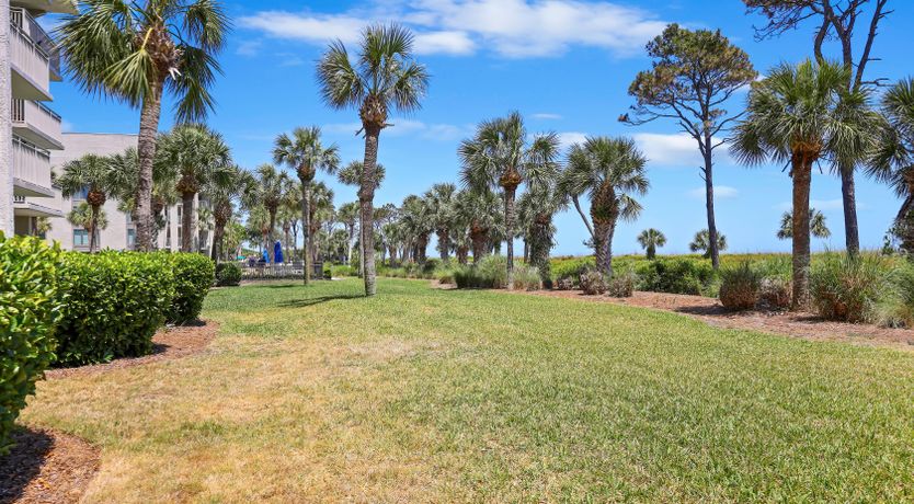 Photo of As Palms Sway