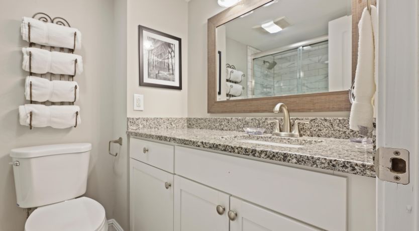 Photo of As Palms Sway