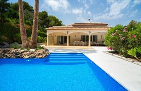 Photo of sweet-sunshine