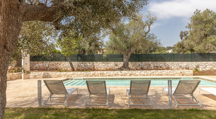 Photo of Olive Tree View