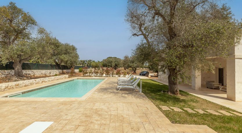 Photo of Olive Tree View