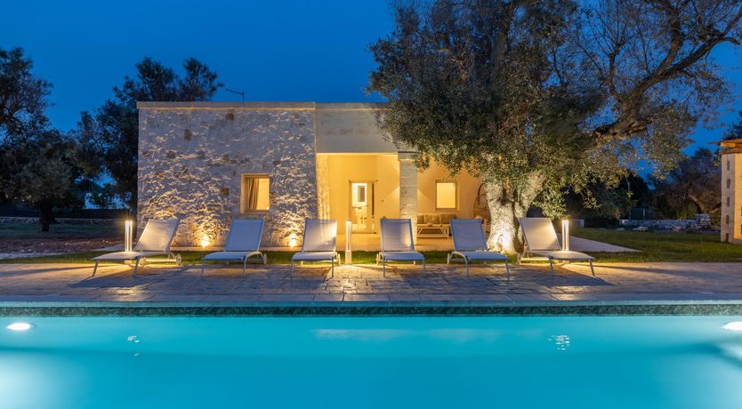 Photo of Olive Tree View