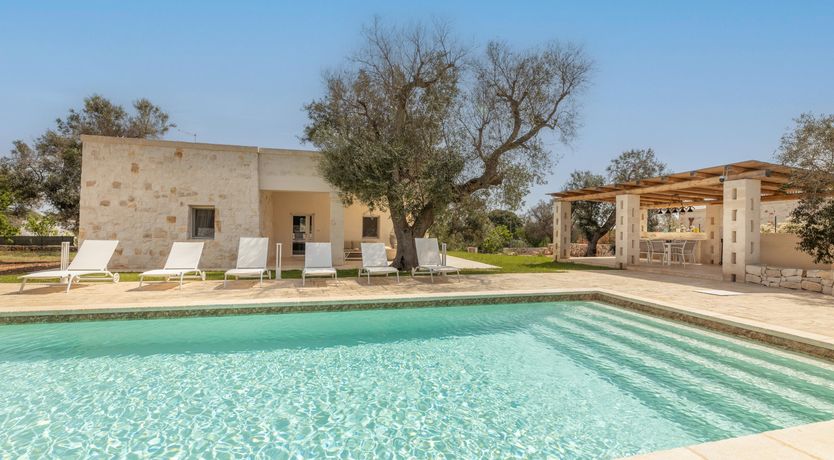 Photo of Olive Tree View