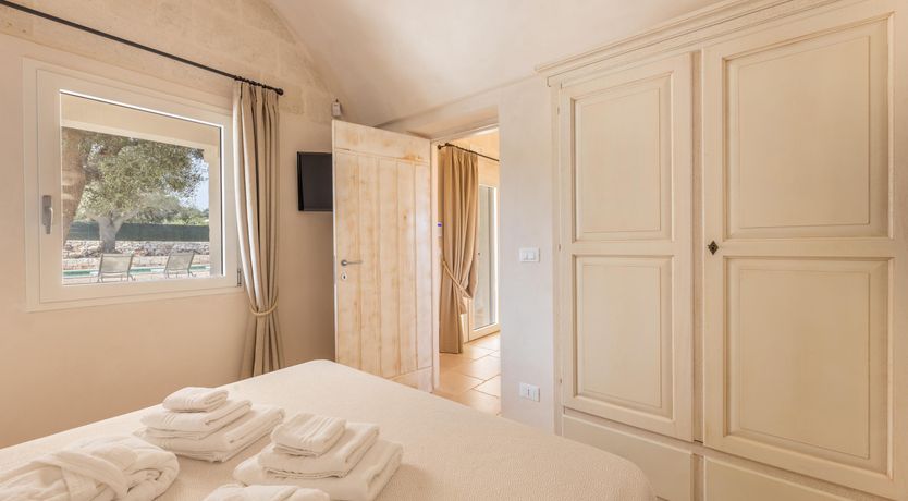 Photo of Olive Tree View