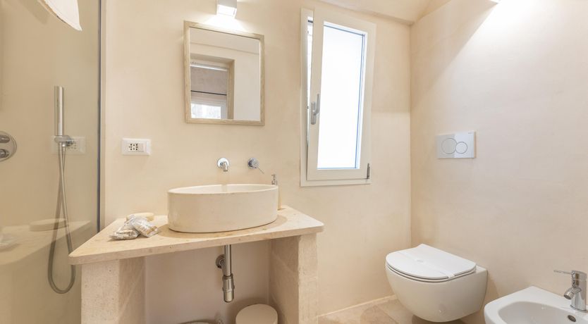 Photo of Olive Tree View