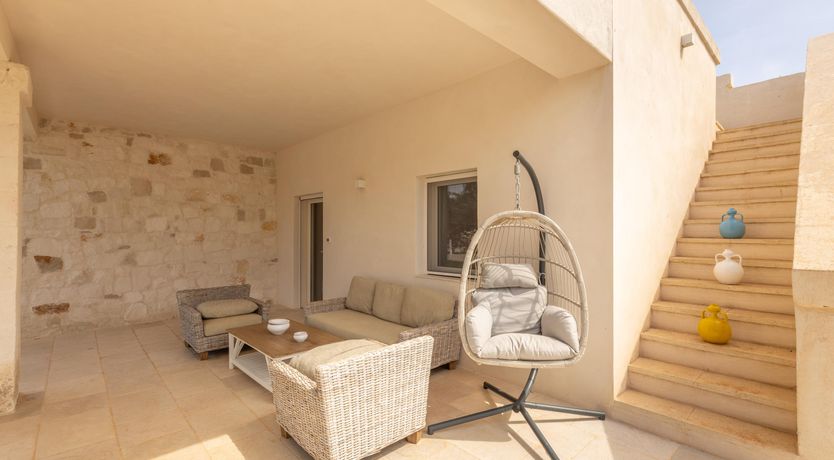 Photo of Olive Tree View