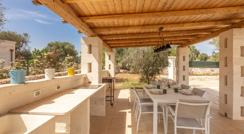 Photo of Olive Tree View