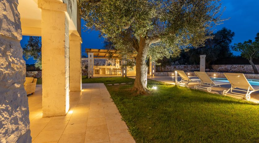 Photo of Olive Tree View