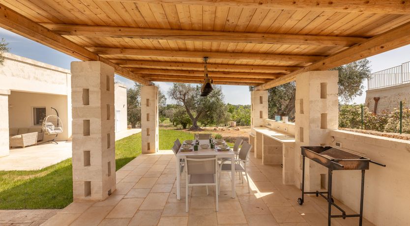 Photo of Olive Tree View