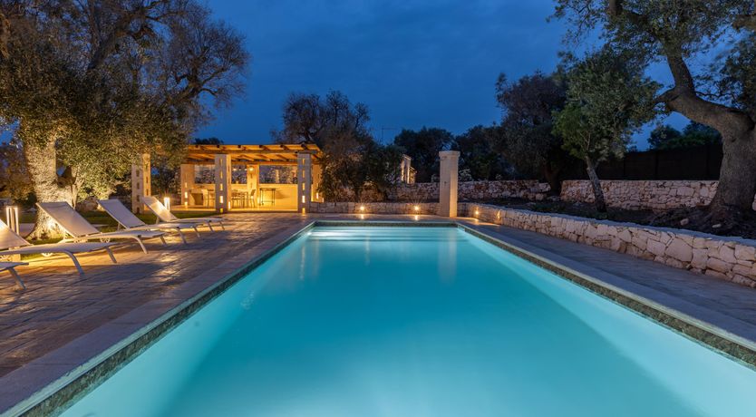 Photo of Olive Tree View