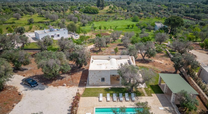 Photo of Olive Tree View