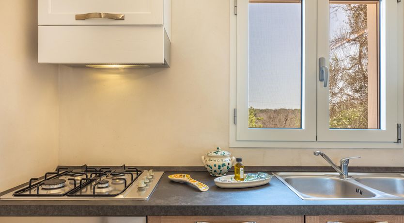 Photo of Olive Tree View