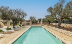 Photo of Olive Tree View