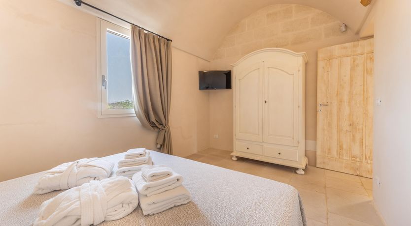 Photo of Olive Tree View