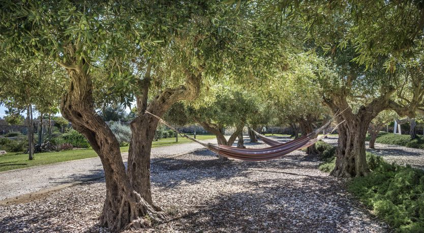 Photo of Sunlit Villa