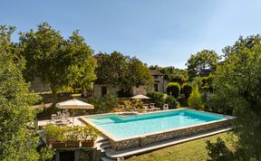 Photo of Woodland Borgo