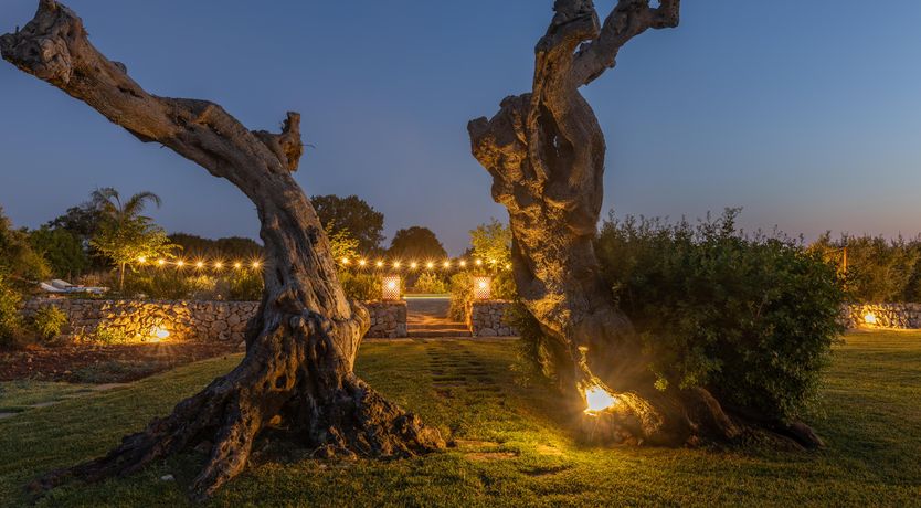 Photo of Coastal Echoes