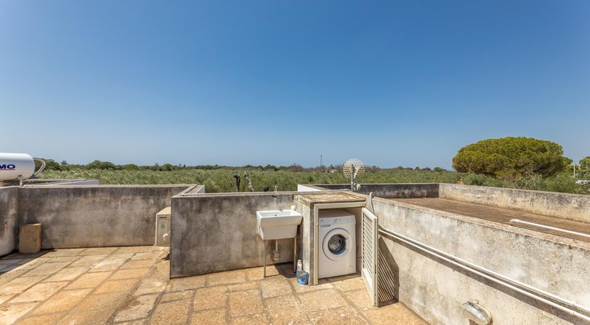 Photo of Coastal Echoes