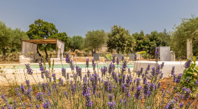 Photo of Celestial Beauty