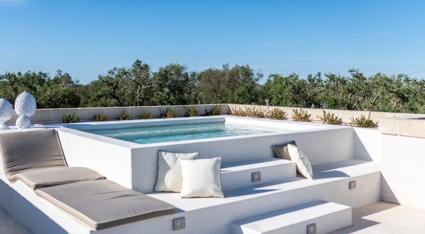 Photo of Olive Tree Paradise