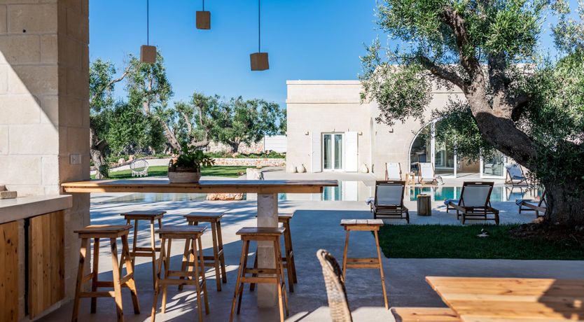 Photo of Olive Tree Paradise