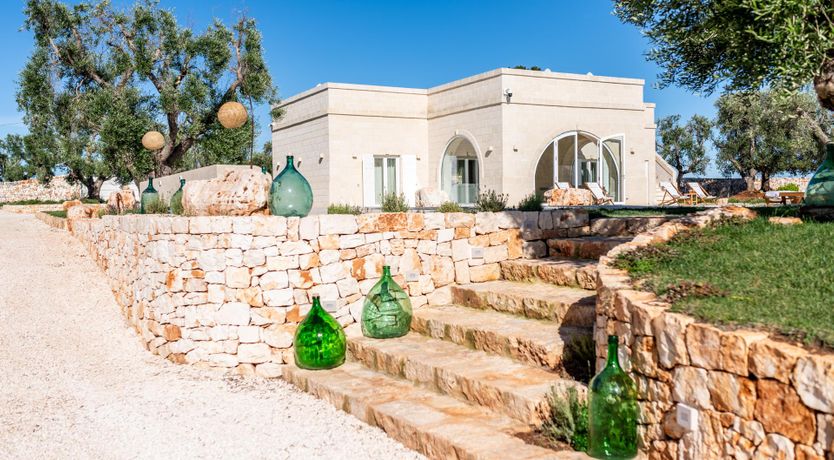Photo of Olive Tree Paradise