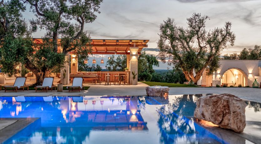 Photo of Olive Tree Paradise