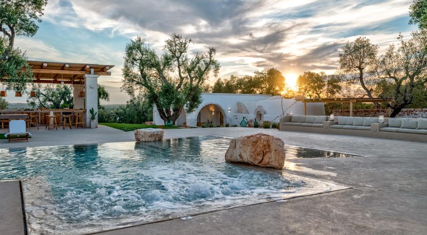 Photo of Olive Tree Paradise