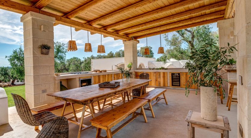 Photo of Olive Tree Paradise