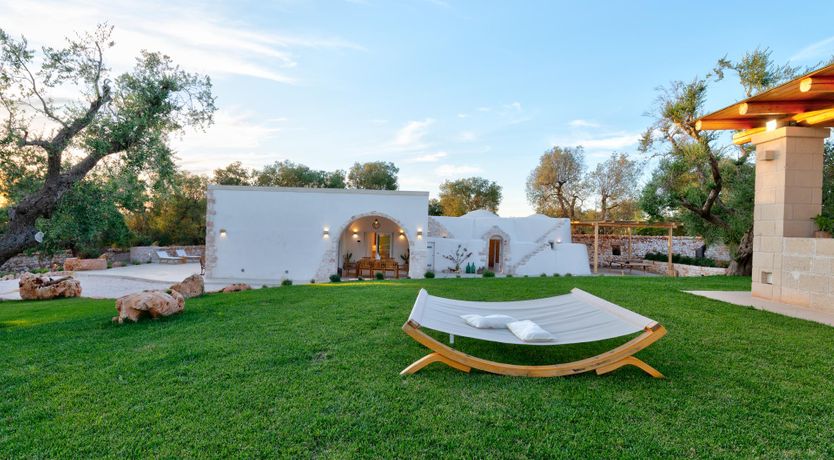 Photo of Olive Tree Paradise