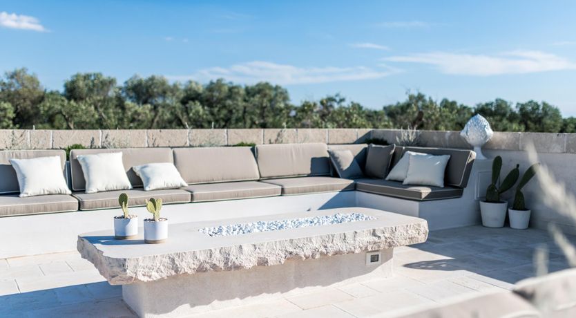 Photo of Olive Tree Paradise