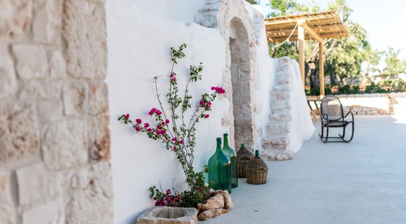Photo of Olive Tree Paradise