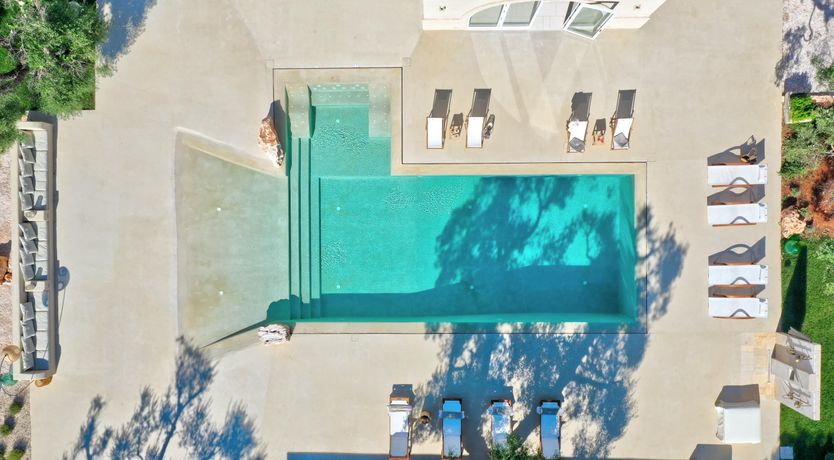 Photo of Olive Tree Paradise