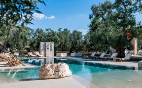 Photo of Olive Tree Paradise