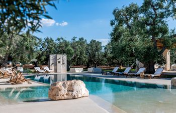 Olive Tree Paradise Holiday Home