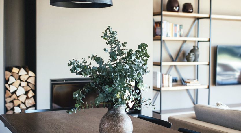 Photo of Sunshine Unearthed