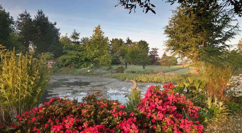 Photo of Colourful Kingham