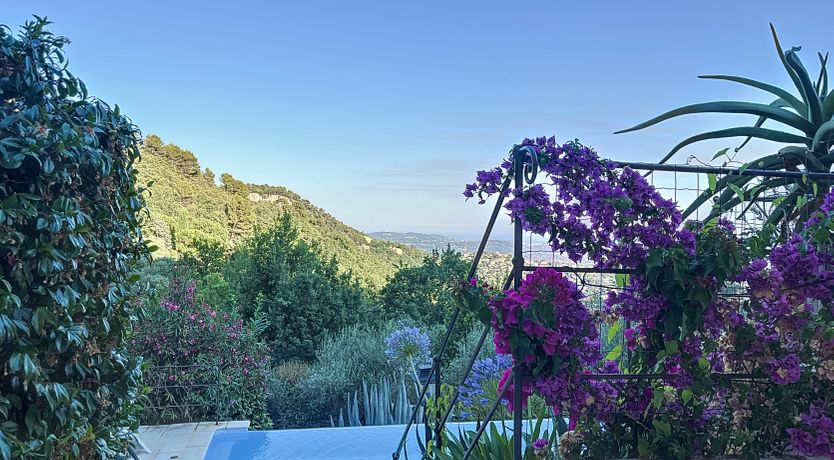 Photo of Lavenders & Islands