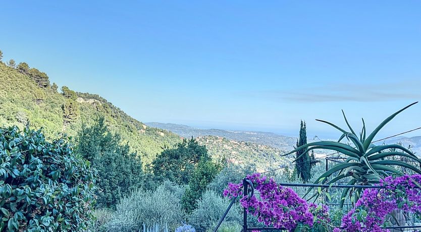 Photo of Lavenders & Islands