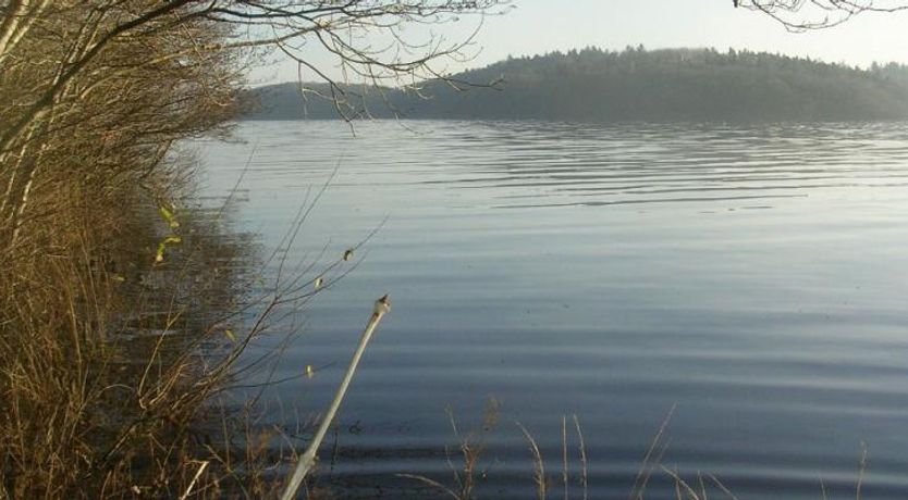 Photo of 5-star Oughterard Cottage